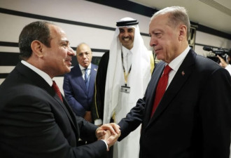 大和解 埃及与土耳其总统卡塔尔握手破冰