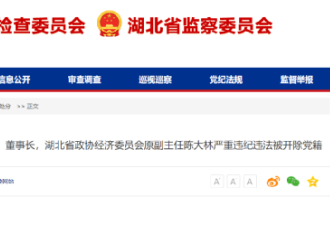 震动中国金融圈!中纪委:陈大林被开除党籍