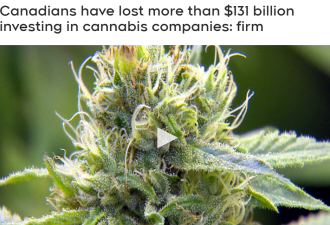 加拿大人投资大麻已亏$1310亿！这都能亏钱也是没谁了……