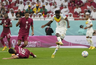 世界杯东道主出局 塞内加尔3比1击败卡塔尔