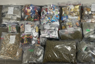 多伦多大麻店6人非法销售遭到逮捕