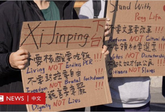 北京四通桥事件催生美国年轻华人政治表达