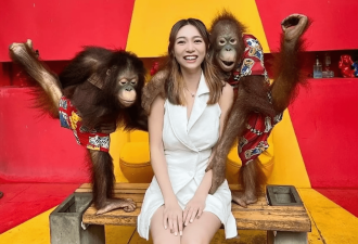 TVB港姐冠军遭猩猩强吻！自曝还能听到口水声