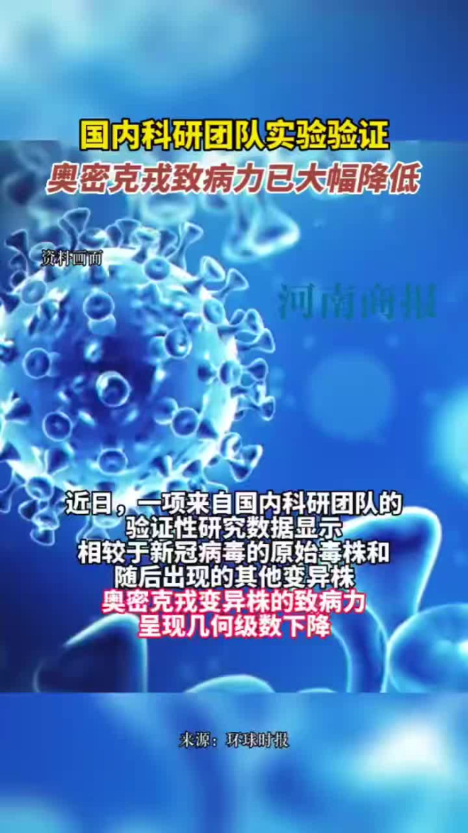 国内科研团队实验验证：奥密克戎致病力已大幅降低！_手机新浪网