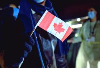 重磅！加拿大移民部宣布新政：放宽一项工签申请！超20万人受益！