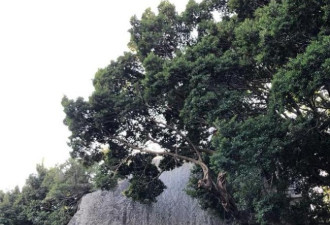 浪漫鼓浪屿之二 宗教信仰“三和宫”