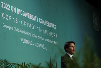 加拿大欢迎世界莅临生物多样性大会，携手护卫大自然