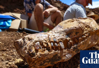 澳洲发现1亿年前海洋巨兽遗骸 专家称全球罕见