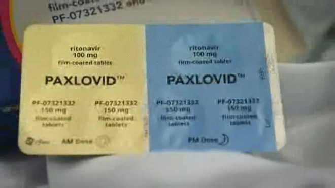 Ontario pharmacists allowed to prescribe Paxlovid for COVID-19 treatment |  Globalnews.ca