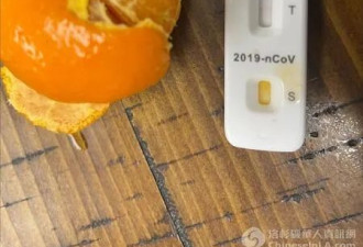 橘子番茄测出新冠阳性？试验结果震惊华人圈