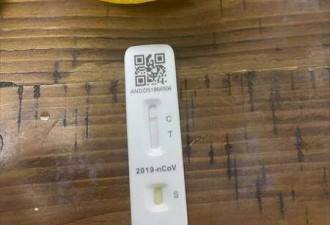 橘子番茄测出新冠阳性？试验结果震惊华人圈