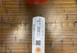橘子番茄测出新冠阳性？试验结果震惊华人圈
