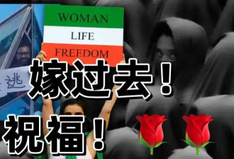 疯了吗?怎么有这么多人想嫁去卡塔尔？