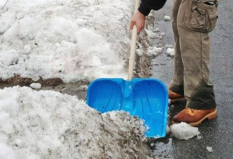 加拿大超千户未及时铲雪被投诉 有人被罚