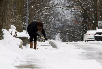 加拿大超千户未及时铲雪被投诉 有人被罚