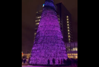 加拿大最高最特别的圣诞树在约克区点亮！免费开放