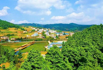 曲靖麒麟区的美景：漫享胜地 秘境长坡