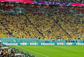 世界杯上铺天盖地的中国广告要花多少钱？