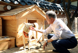 韩国政坛斗争的新牺牲品：金正恩送的狗