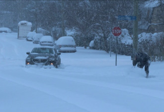 破纪录-46.8度！暴雪再度重创大温哥华 机场关闭公交停驶