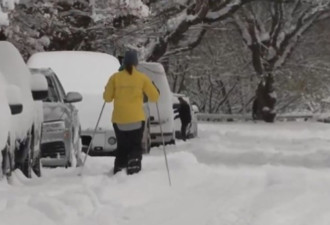 雪中作乐！加拿大遭遇罕见暴雪 一些人滑雪上班出门