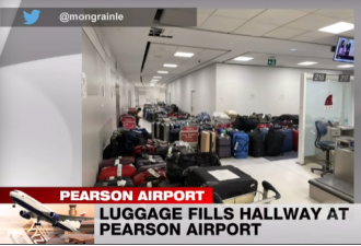 华人亲历多伦多机场崩溃：传送带断裂！数百行李箱堆成山!
