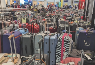 华人亲历多伦多机场崩溃：传送带断裂！数百行李箱堆成山!