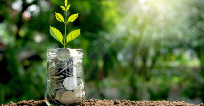 Small green plant growing in "soil" made of coins in a glass jar