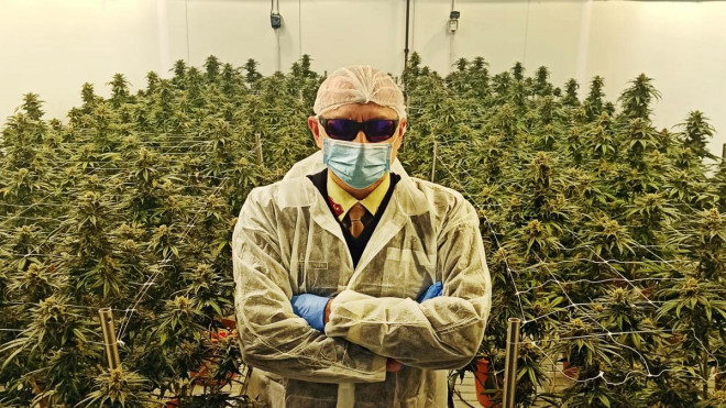 大麻我来种! 意大利军队身负重任拼产量翻倍| 文学城