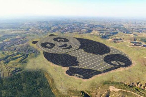 中国太阳能发电站变身为熊猫: 中国·国际: 韩民族日报