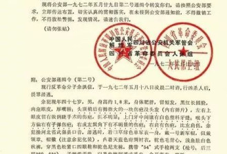 详解1972年63军“余洪信事件”真相
