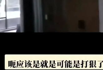 胡鑫宇失踪80天后被曝最新进展 孩子已被火化了？