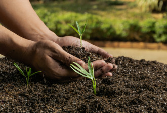 批准人体堆肥 遗体变成肥料滋养花卉蔬菜