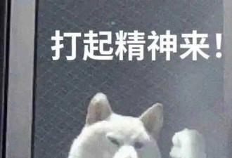 贝利曾娶三任老婆 私生子多到数不清