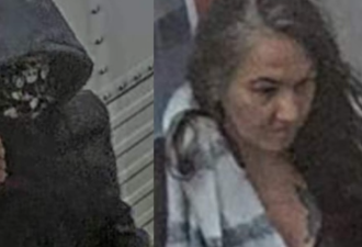 一男一女TTC持刀威胁乘客被通缉