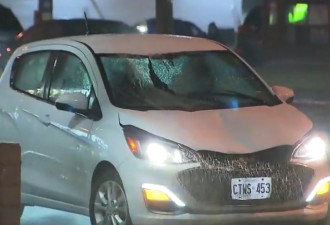 多伦多行人被撞重伤司机涉嫌酒后驾车被捕