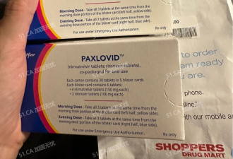 多伦多华人亲述免费领取新冠口服药Paxlovid流程