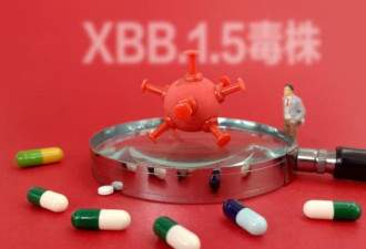 世卫组织:XBB.1.5是迄今传染性最强变种