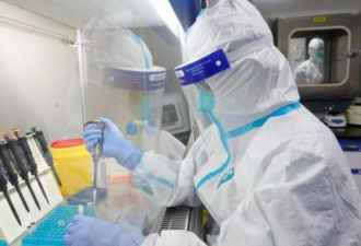 清华团队发现新冠病毒纳米抗体 保持活性