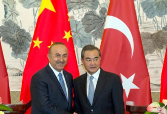 剑指六月大选?土耳其与中国关系因维吾尔议题生恶