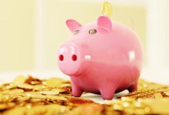 “一只平凡的小猪”捐2039万美元 热议