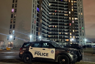多伦多公寓枪击1男子重伤