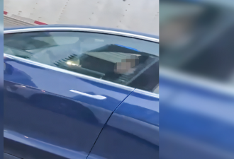 【视频】特斯拉司机在多伦多401高速仰头大睡？网友吵翻
