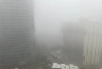 多伦多遭浓雾覆盖：能见度接近0！30cm雨夹雪今晚狂袭!