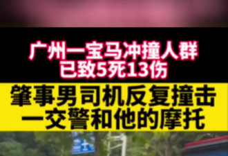 广州宝马冲撞人群致5死13伤案 嫌犯被批捕