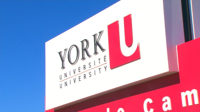 Action taken against eight York University employees over false insurance  claims | CityNews Toronto
