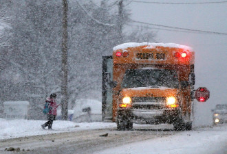 冻雨+积冰！大多伦多地区今早多个教育局校巴停运！