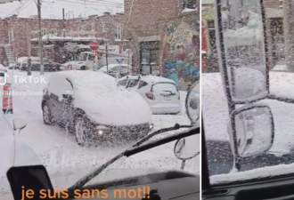 【视频】加拿大有人开着“完全被雪覆盖”的车出门！能见度为零！