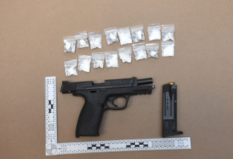 多伦多男涉毒品枪械遭8项指控