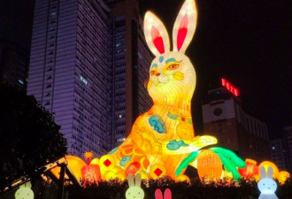 重庆兔年灯饰设计惹议 效果不符已拆除